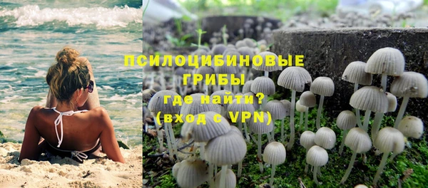 эйфоретик Алексеевка